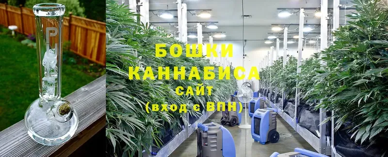 Канабис THC 21%  Мыски 